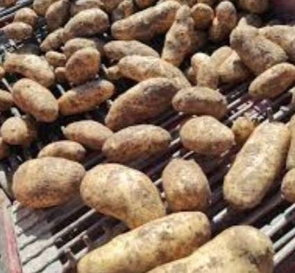 Sklithros potatoes Sklithros potatoes